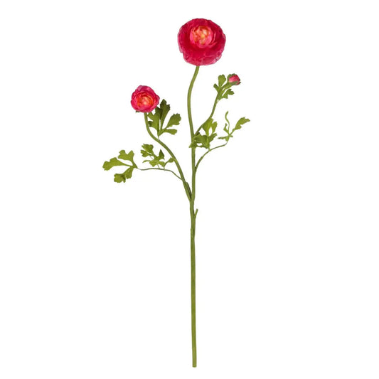 23’’ Ranunculus Stem (Set of 12)’ - Beauty - Nearly Natural
