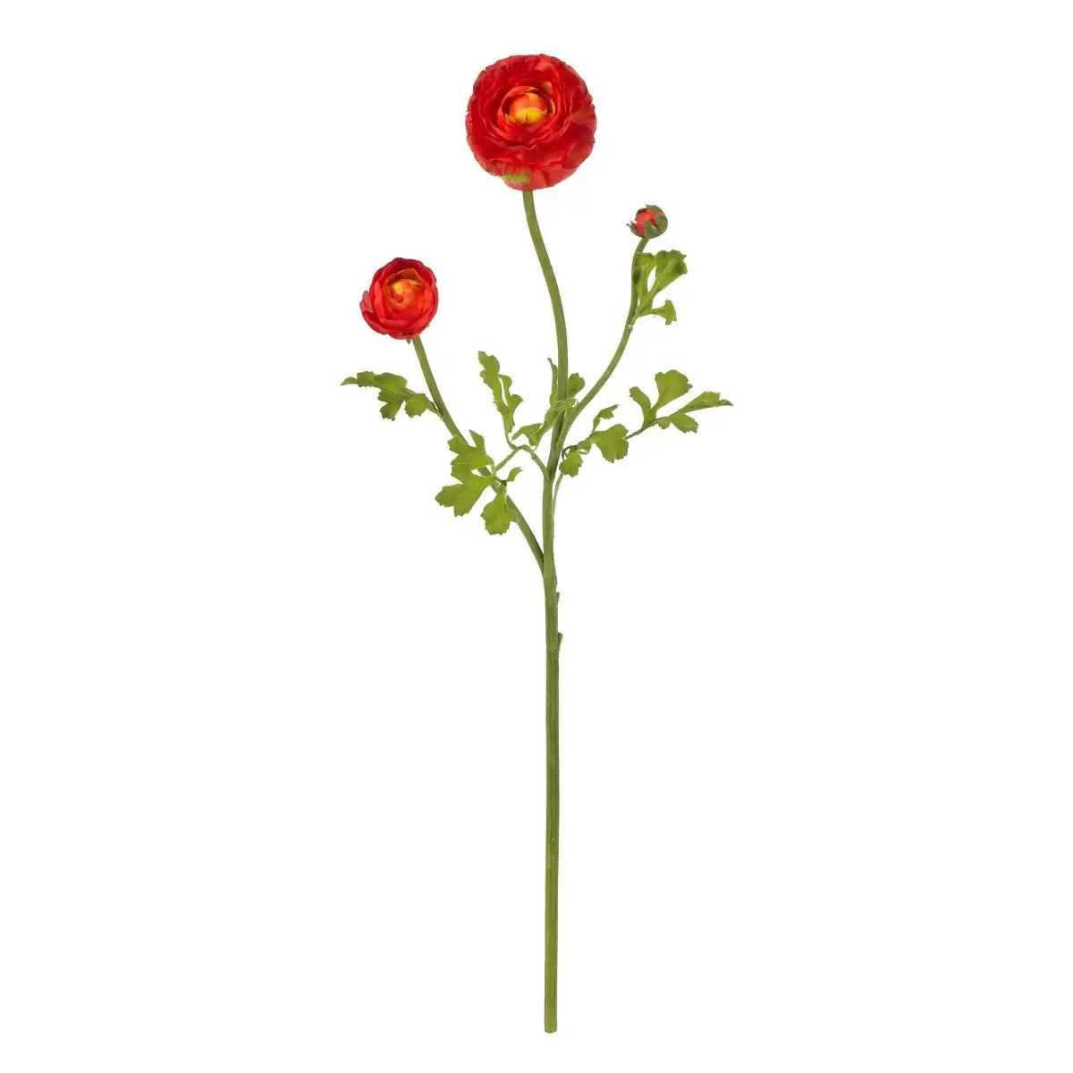 23’’ Ranunculus Stem (Set of 12)’ - Red - Nearly Natural