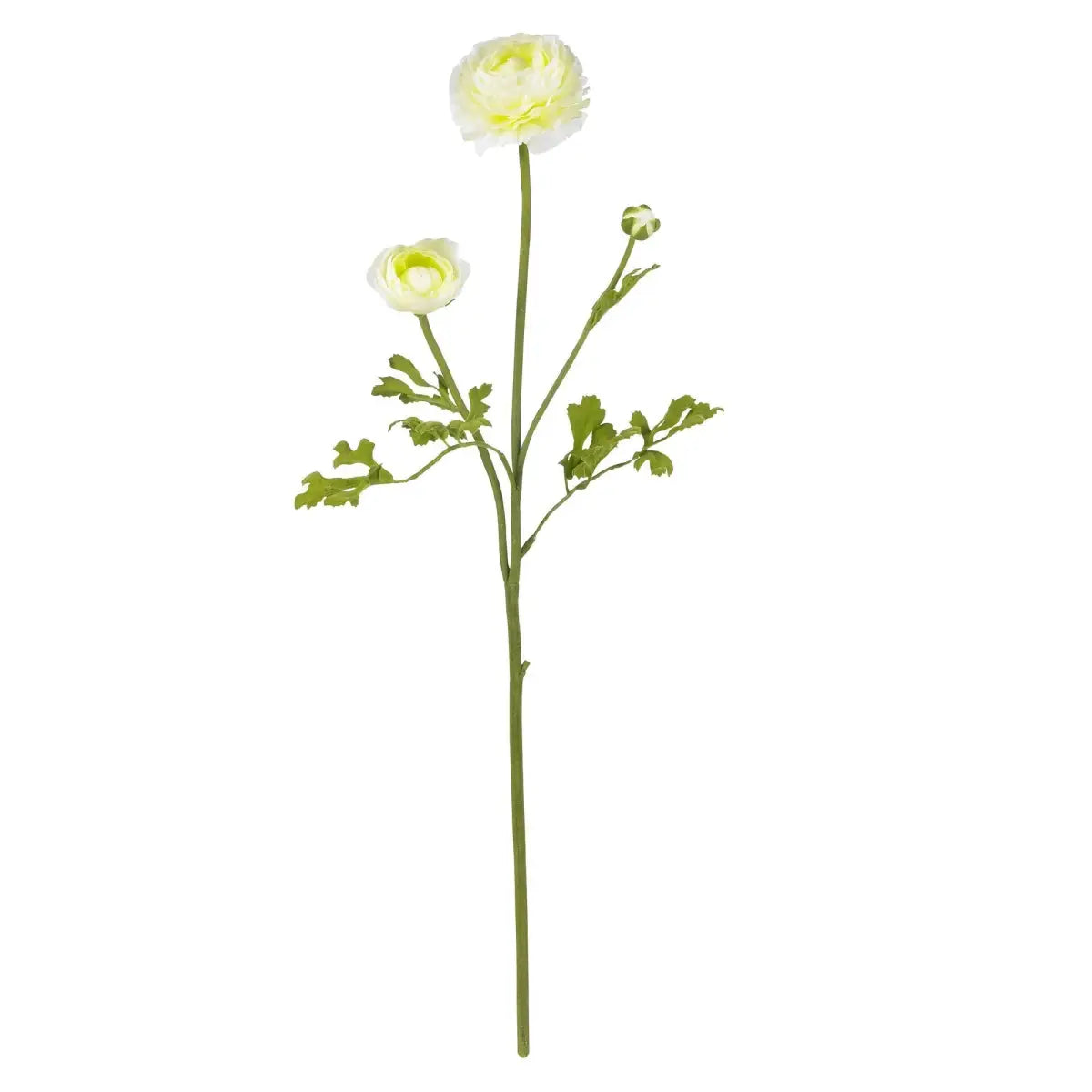 23’’ Ranunculus Stem (Set of 12)’ - White - Nearly Natural