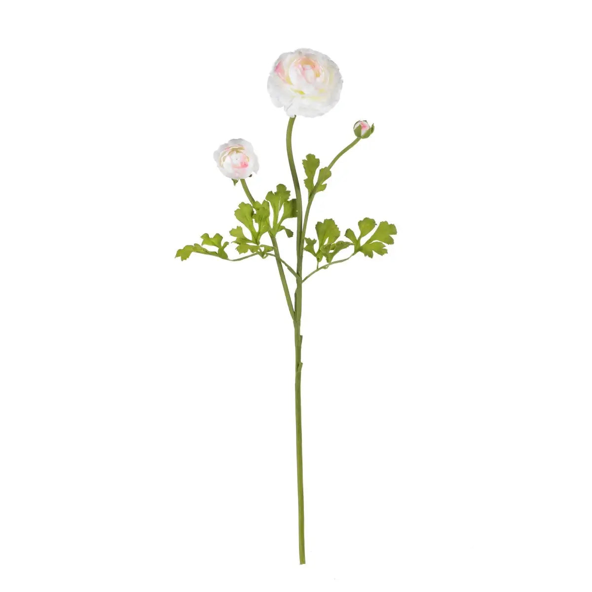 23’’ Ranunculus Stem (Set of 12)’ - White Pink - Nearly Natural