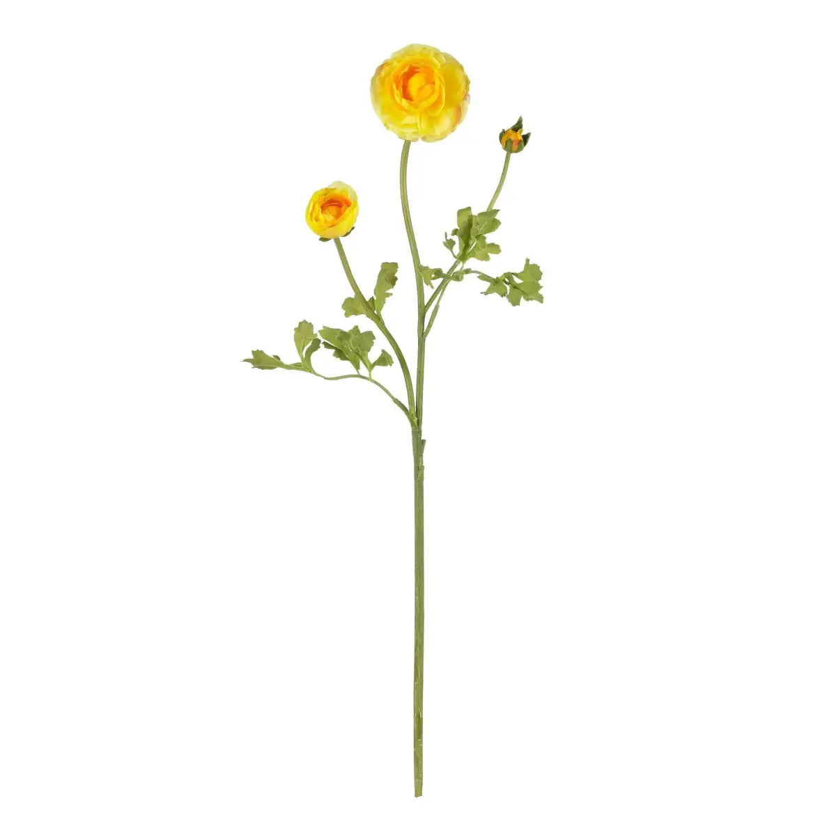 23’’ Ranunculus Stem (Set of 12)’ - Yellow - Nearly Natural