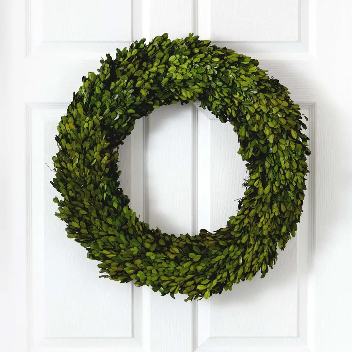 24” Preserved Boxwood Wreath - Nearly Natural