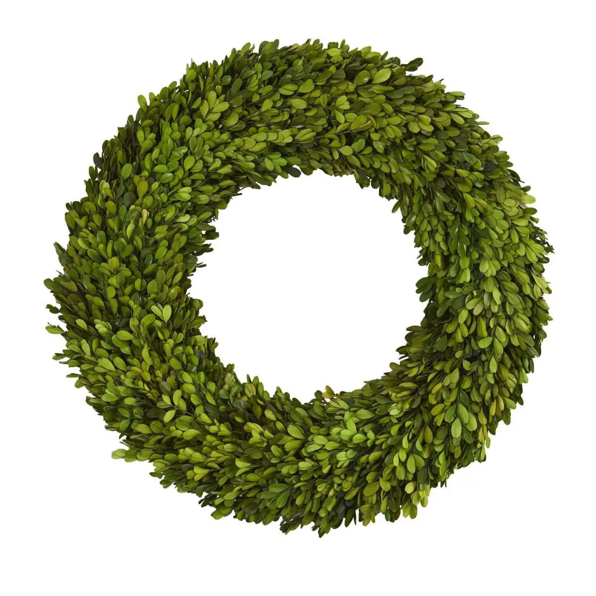 24” Preserved Boxwood Wreath - Nearly Natural