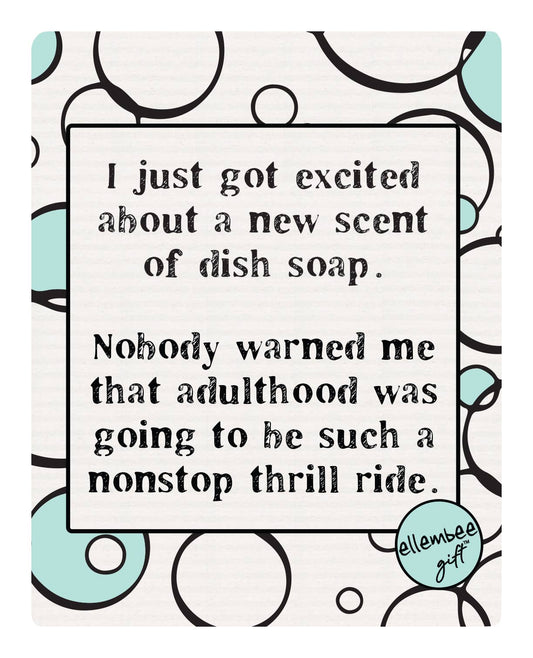 Swedish Dish Cloth - Adulthood Thrill Ride - Funny - ellembee gift