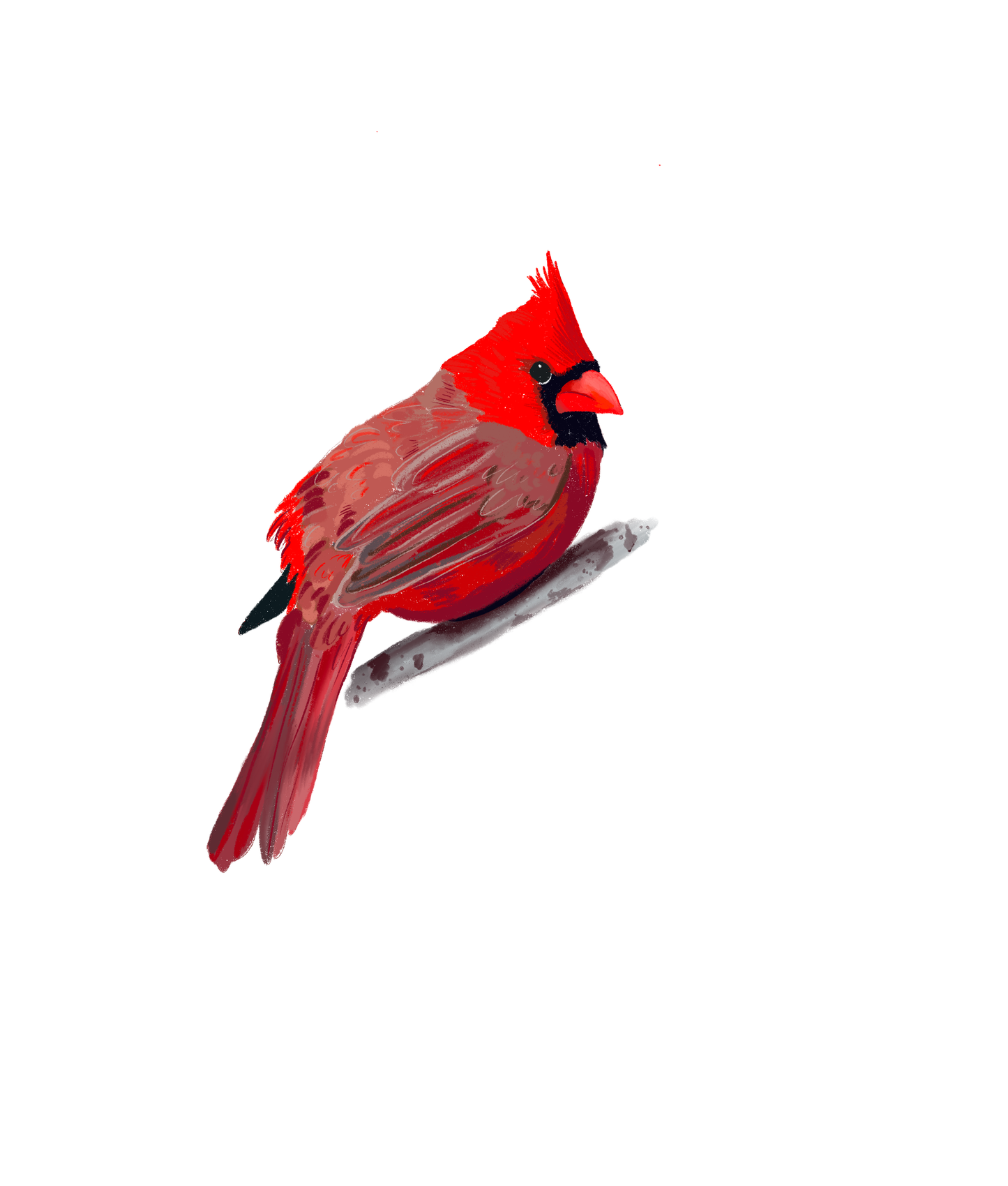 Cardinal Vinyl Sticker