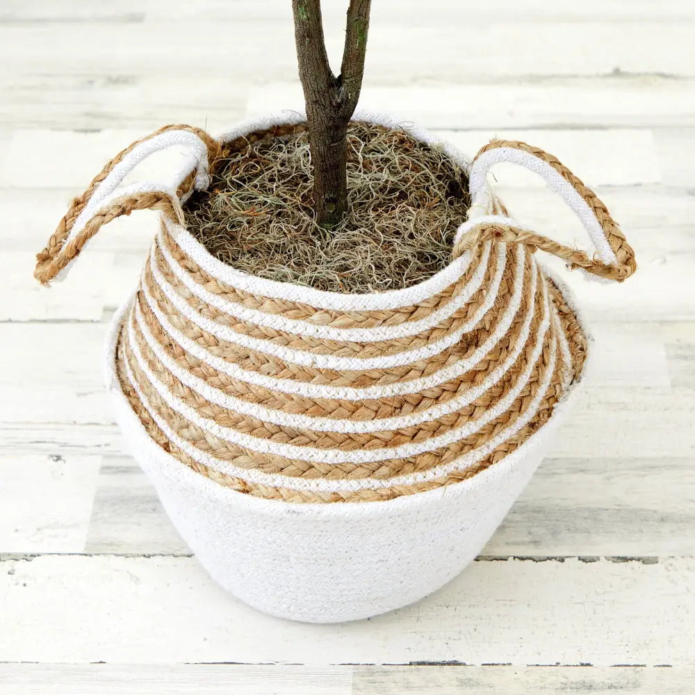 3’ Artificial Fiddle Leaf Fig Tree with Handmade Cotton & Jute Woven Basket DIY Kit - Nearly Natural
