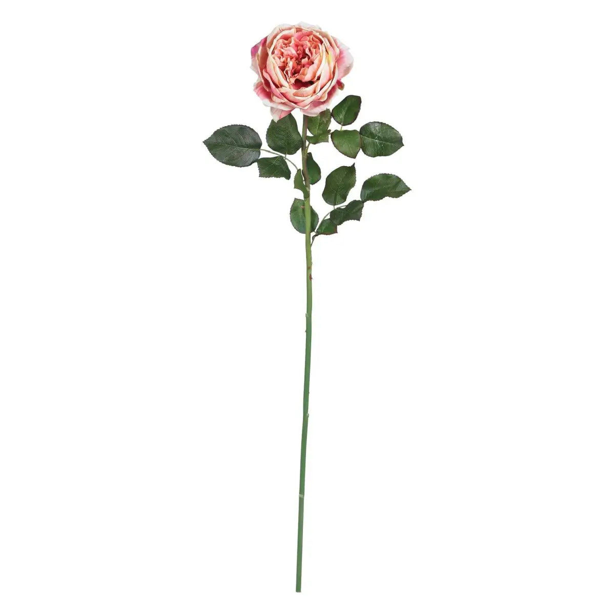 31’’ Large Rose Stem (Set of 12)’ - Pink - Nearly Natural