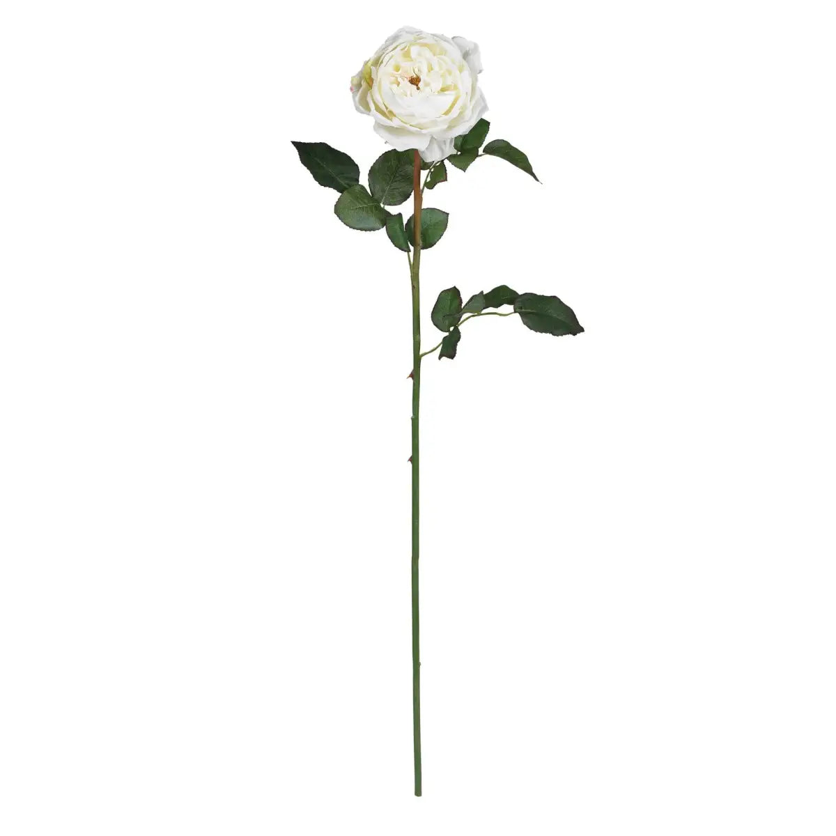 31’’ Large Rose Stem (Set of 12)’ - White - Nearly Natural