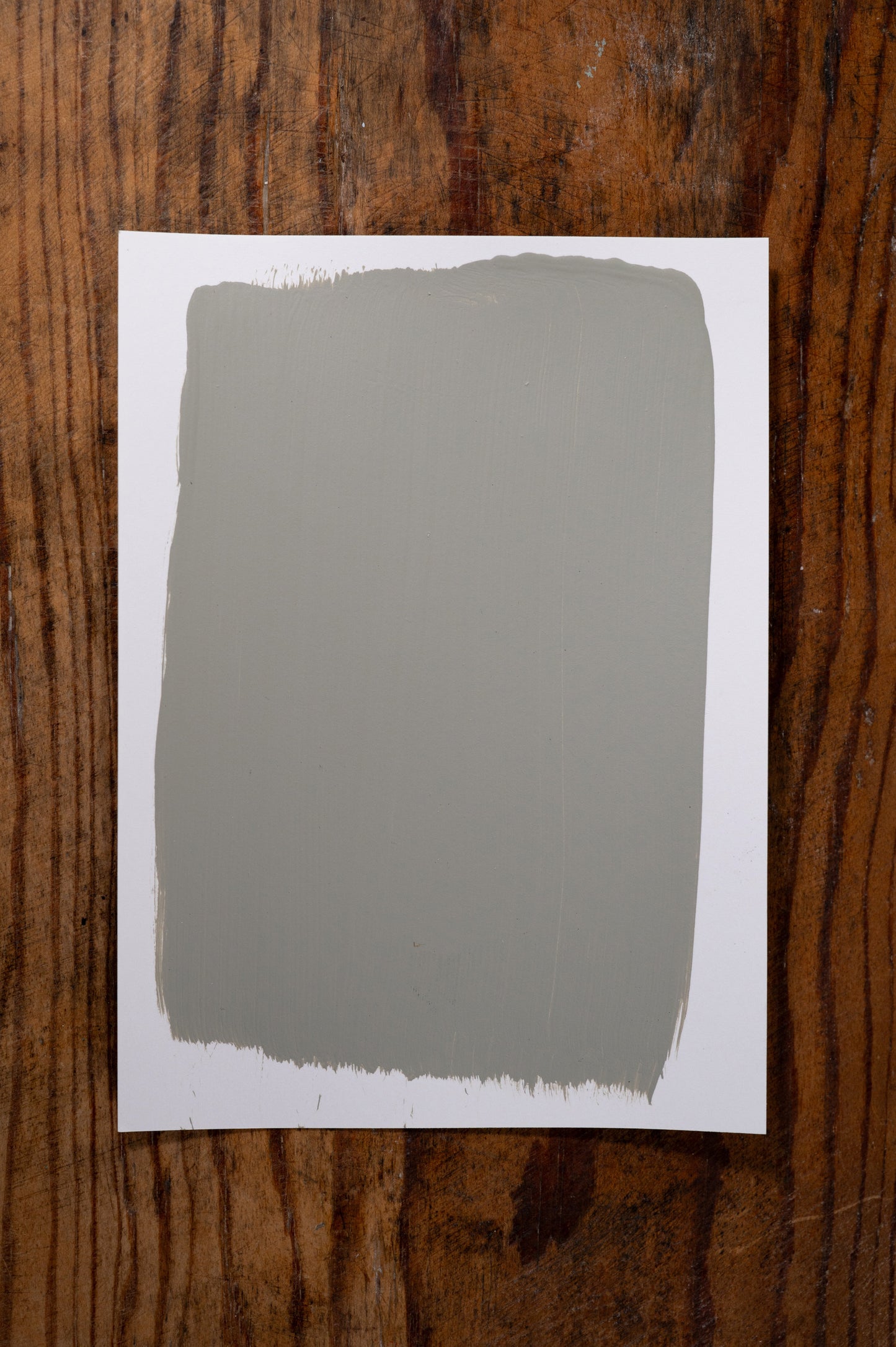 Southern Girl - Manor Borne Wall Paint