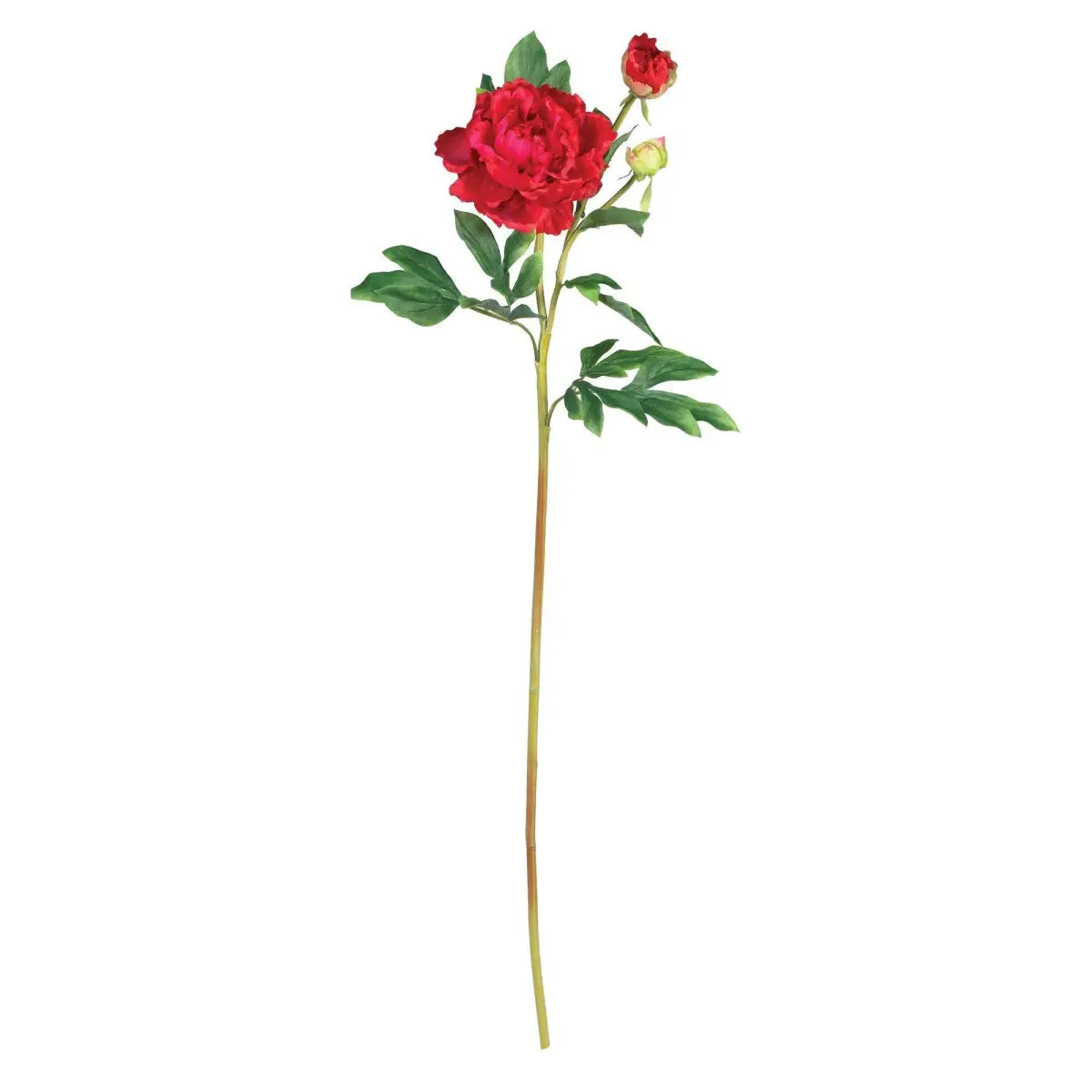 38.5’’ Peony w/Leaves Stem (Set of 12)’ - Red - Nearly Natural