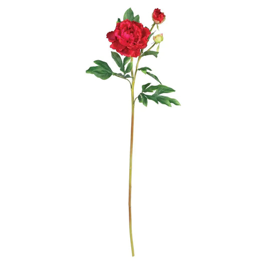 38.5’’ Peony w/Leaves Stem (Set of 12)’ - Red - Nearly Natural