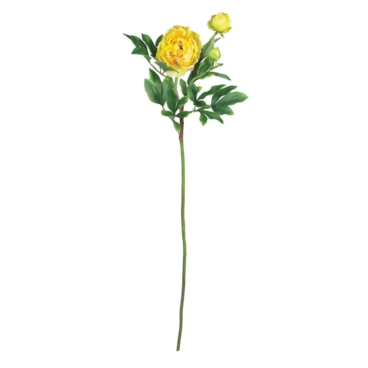 38.5’’ Peony w/Leaves Stem (Set of 12)’ - Yellow - Nearly Natural