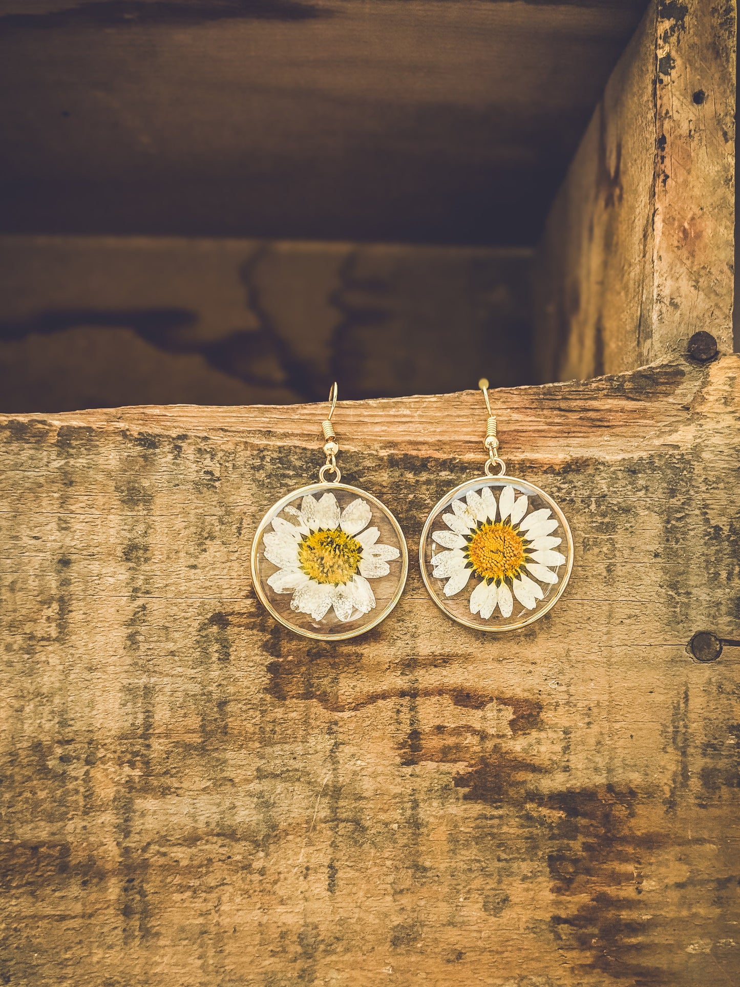 Hermosos aretes de margaritas doradas