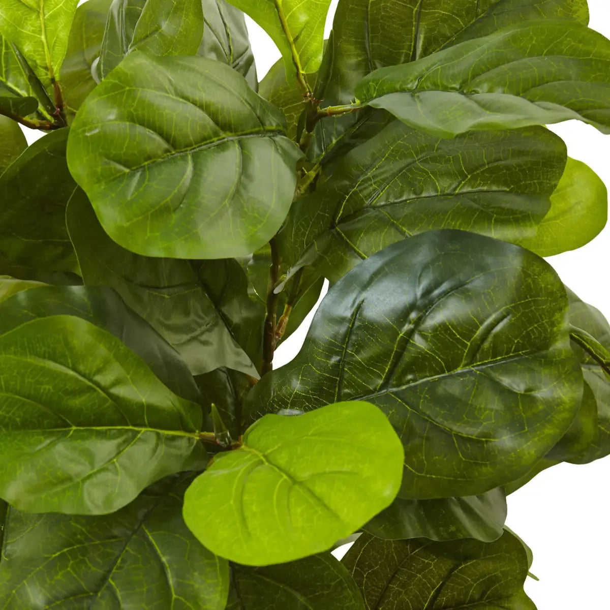 4.5’ Fiddle Leaf Fig in White Planter (Real Touch) - Nearly Natural