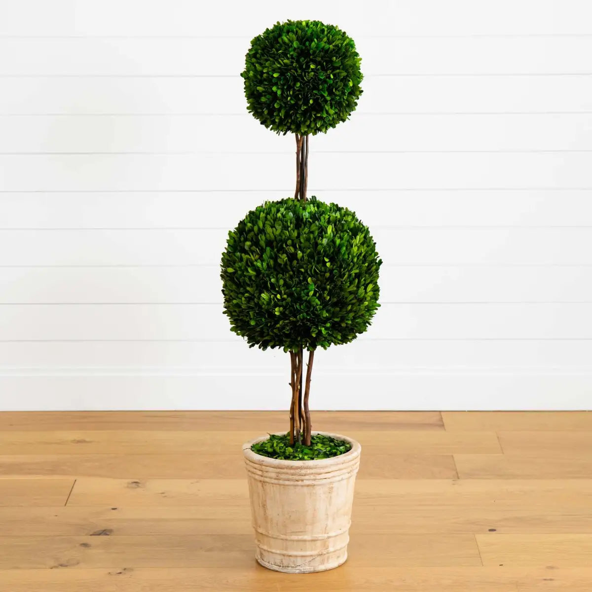 4’ Preserved Boxwood Double Ball Topiary Tree in Planter - Nearly Natural