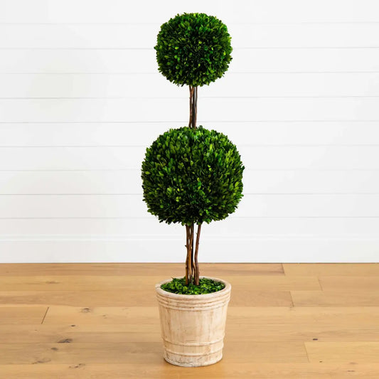 4’ Preserved Boxwood Double Ball Topiary Tree in Planter - Nearly Natural