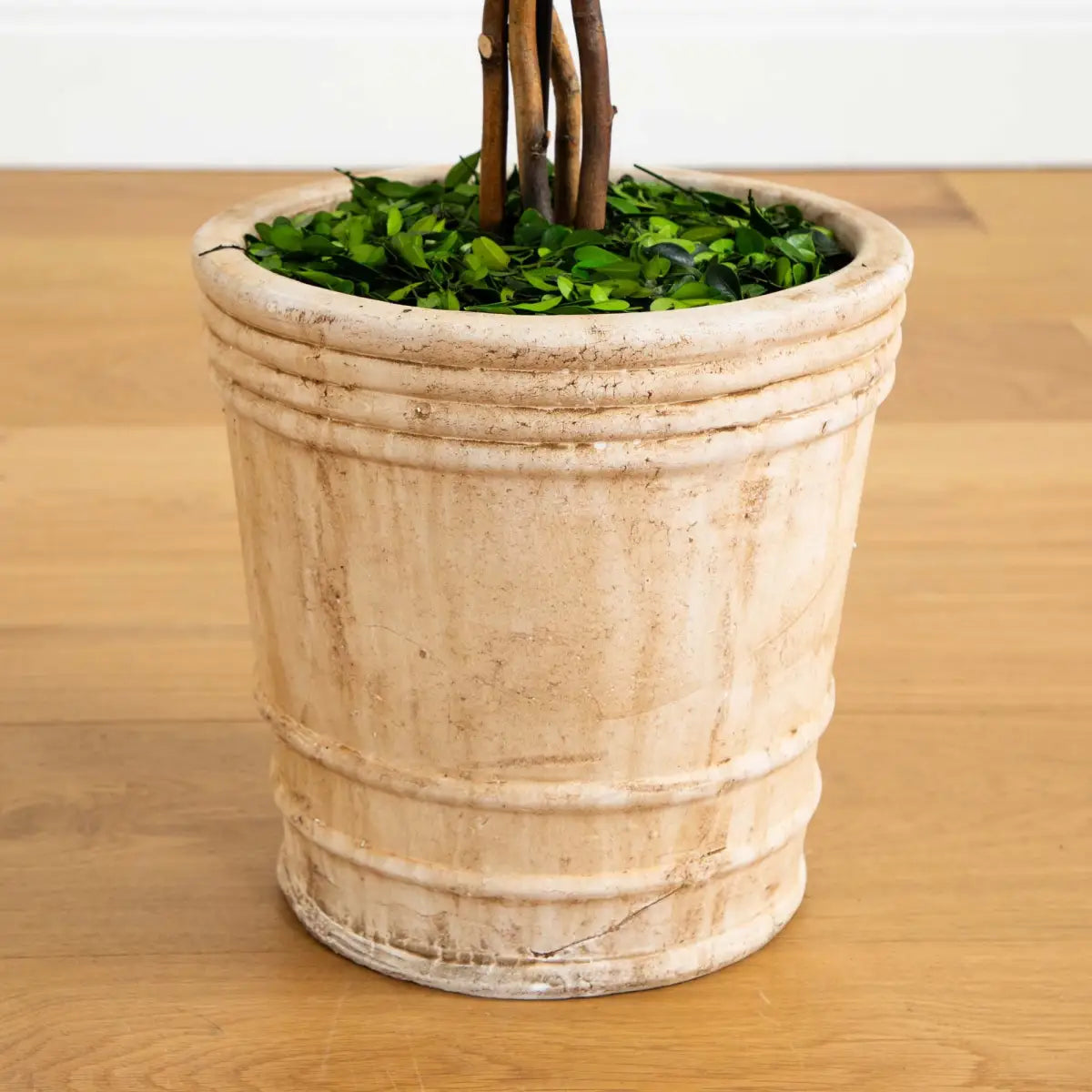 4’ Preserved Boxwood Double Ball Topiary Tree in Planter - Nearly Natural