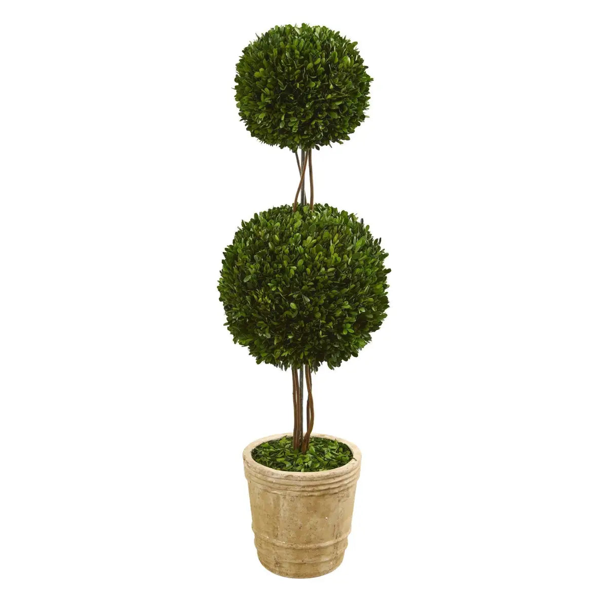 4’ Preserved Boxwood Double Ball Topiary Tree in Planter - Nearly Natural