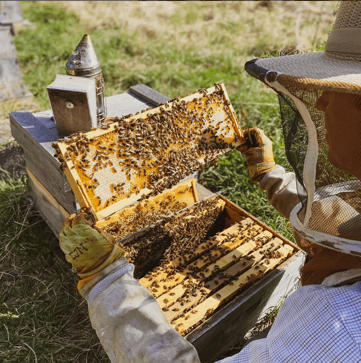 Ghost Candle - 100% Beeswax - Handmade