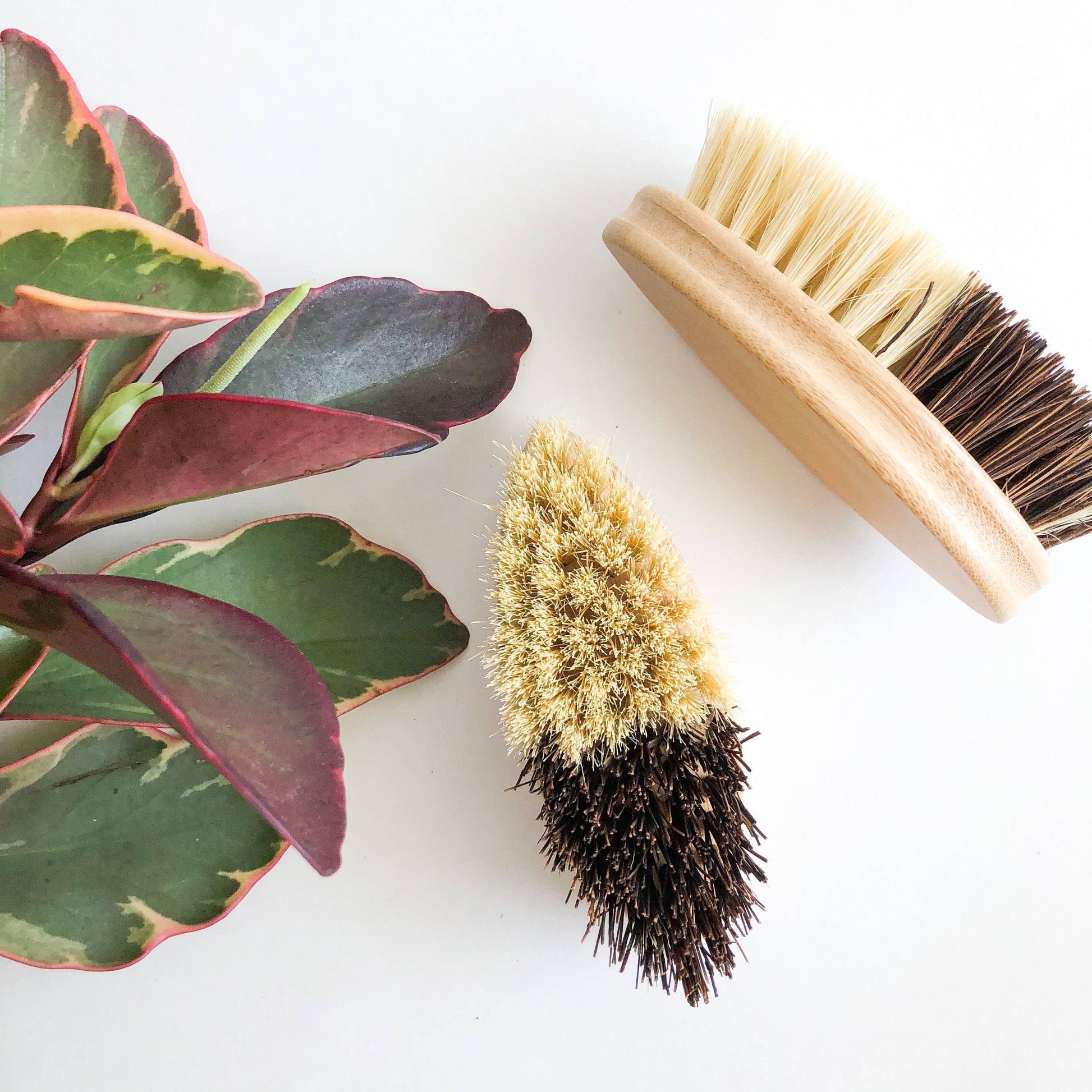 Bamboo Vegetable Brush - Sisal & Palm Bristles - Smile Boutiques