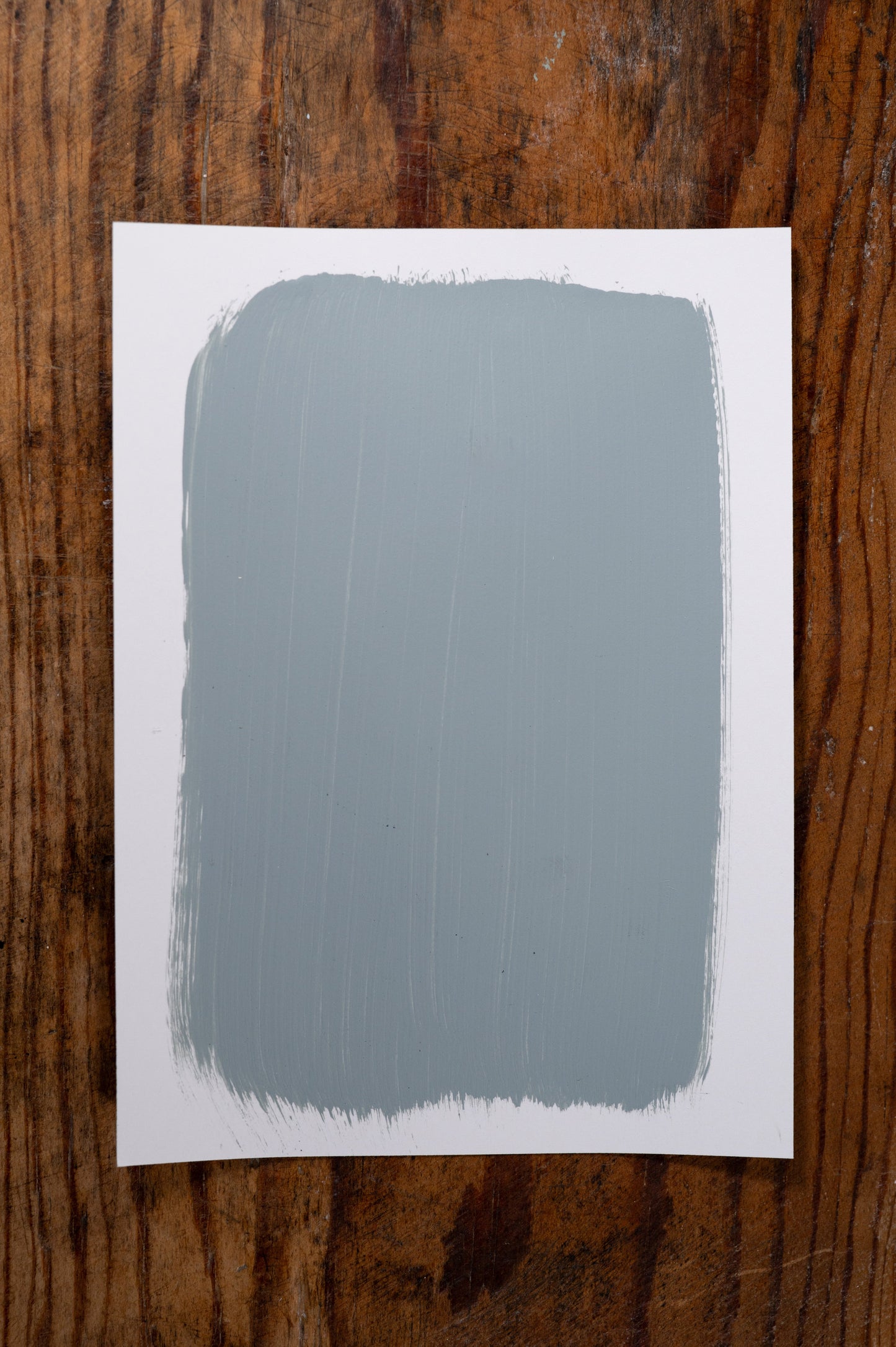 Glacier Grey - Manor Borne Wall Paint - Amy Howard At Home