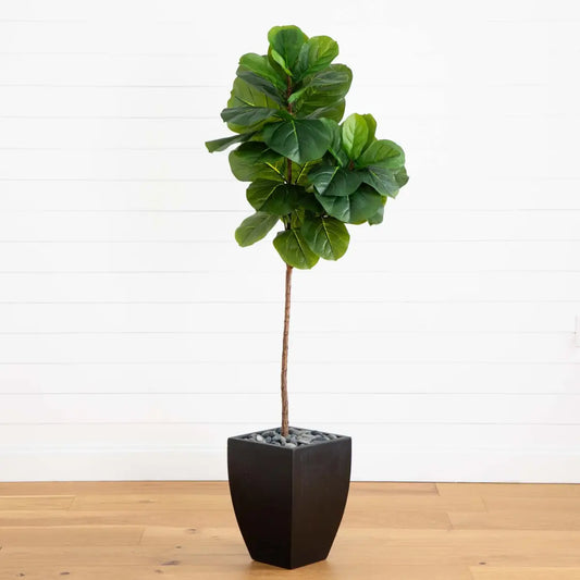 5.5’ Fiddle Leaf Artificial Tree in Black Planter (Real Touch) - Nearly Natural