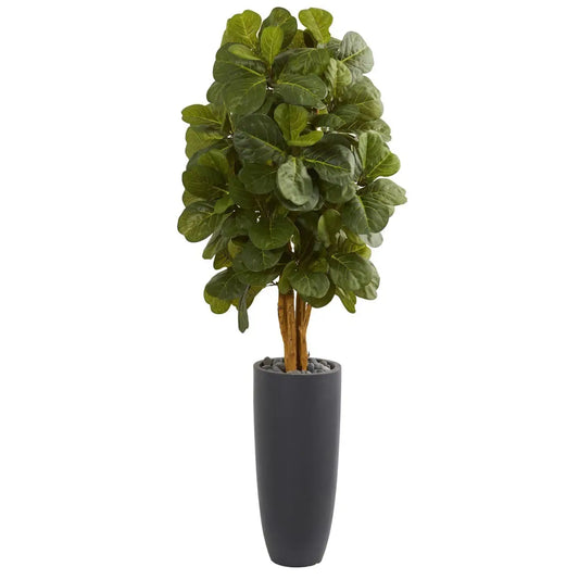 5.5’ Fiddle Leaf Artificial Tree in Gray Cylinder Planter - Nearly Natural