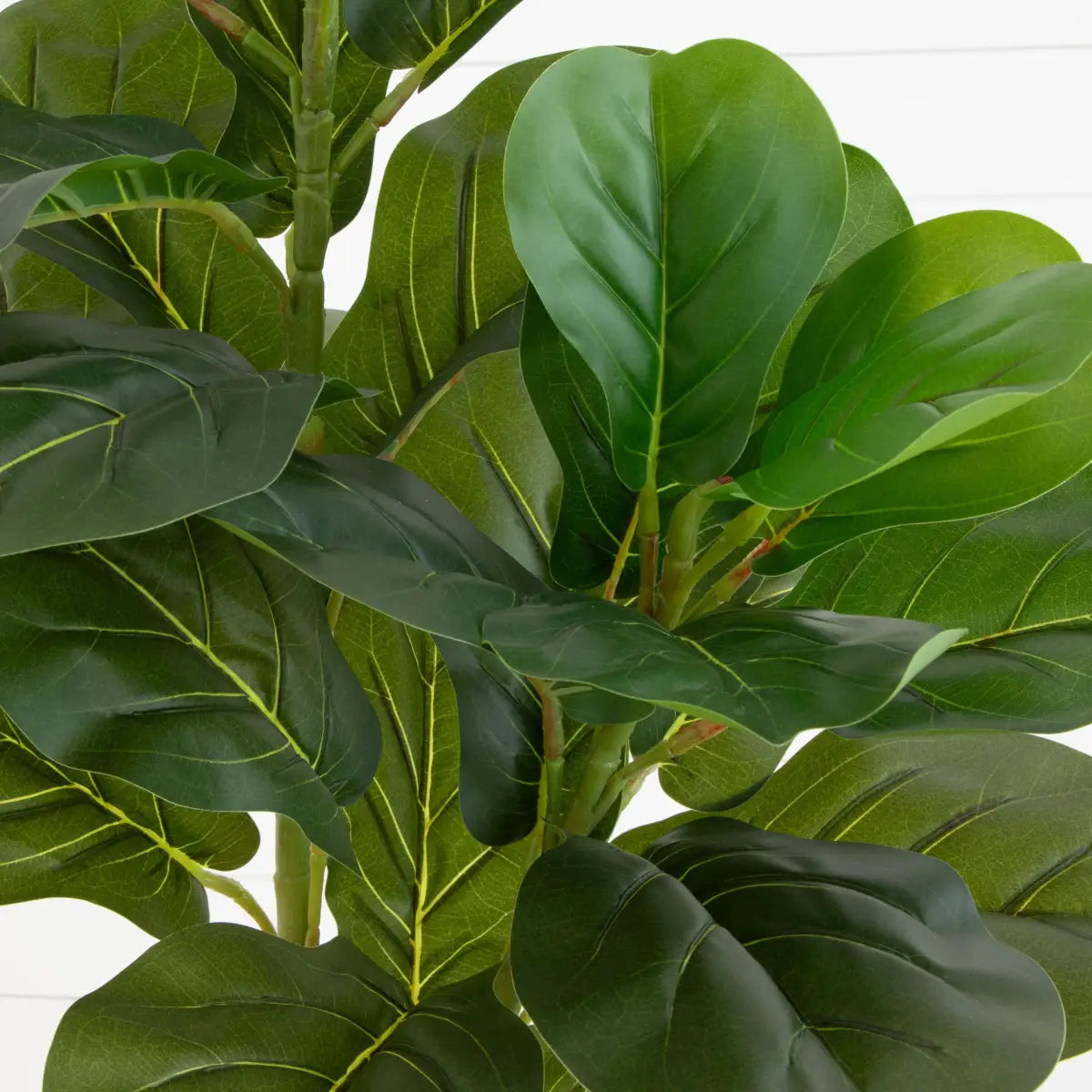 5.5’ Fiddle Leaf Fig Artificial Tree - Nearly Natural