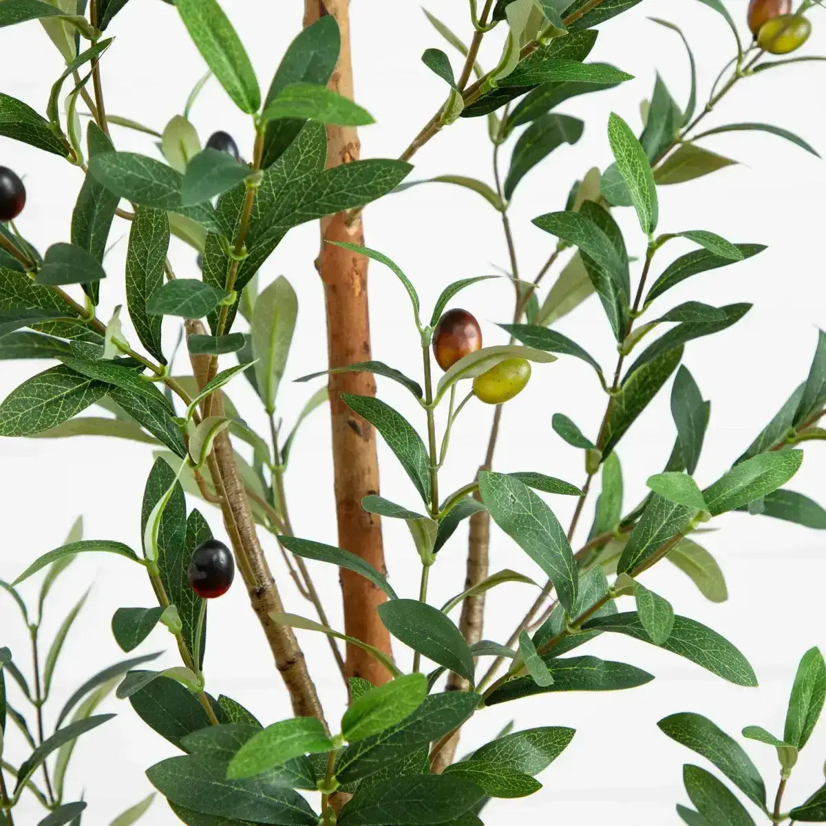 5’ Artificial Olive Tree with Natural Trunk - Nearly Natural