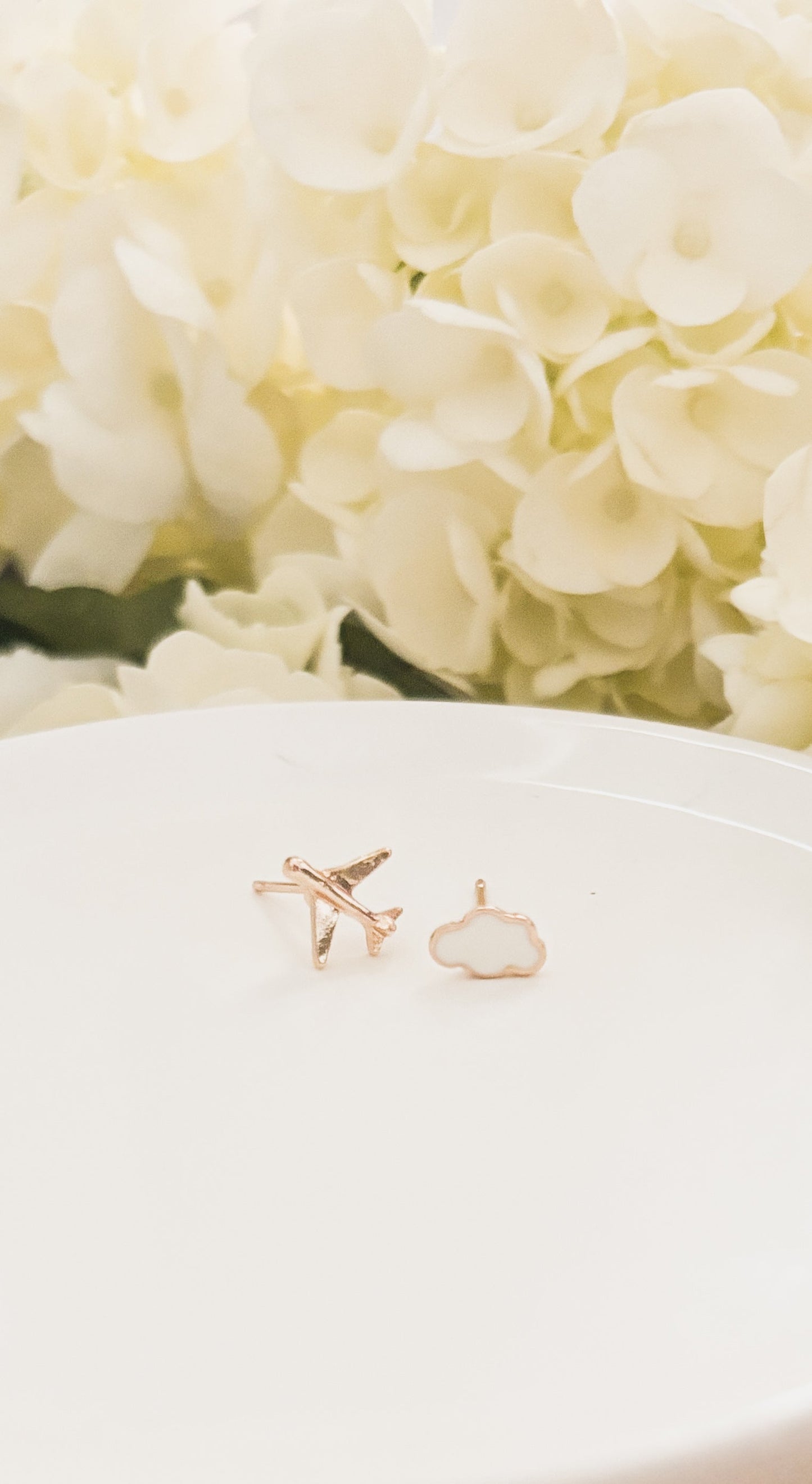 Adorable Cloud and Airplane Stud Earrings