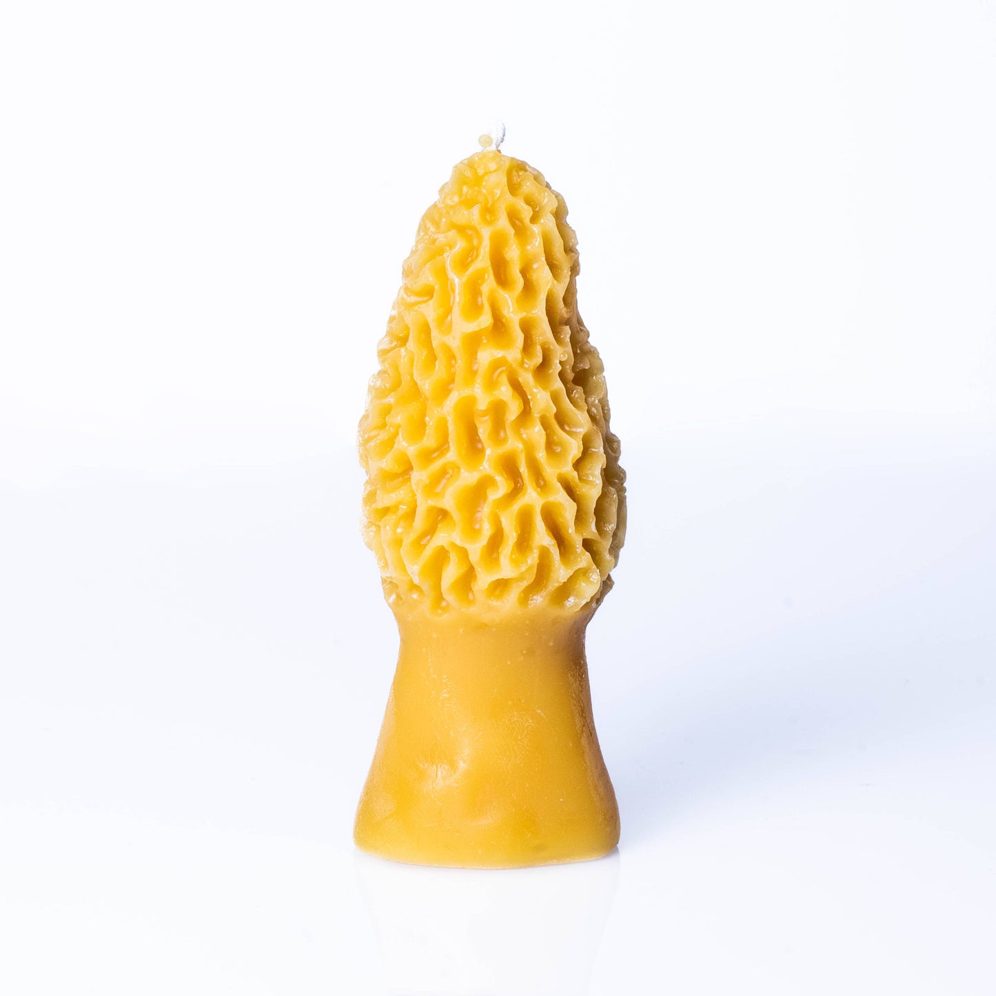 Morel Mushroom Candle - 100% Beeswax - Handmade - Messner Bee Farm
