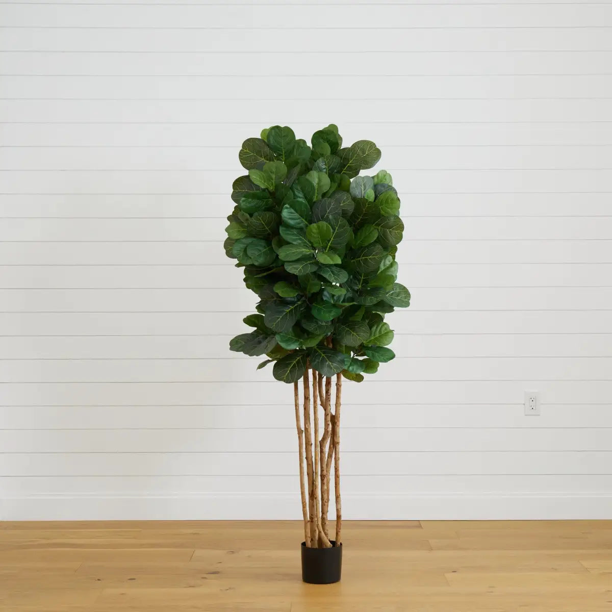 6’ Artificial Fiddle Leaf Fig Tree - Nearly Natural