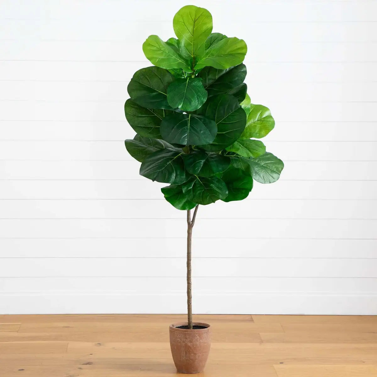 6’ Artificial Giant Leaf Fiddle Leaf Fig Tree in Decorative Planter with Real Touch Leaves - Nearly Natural