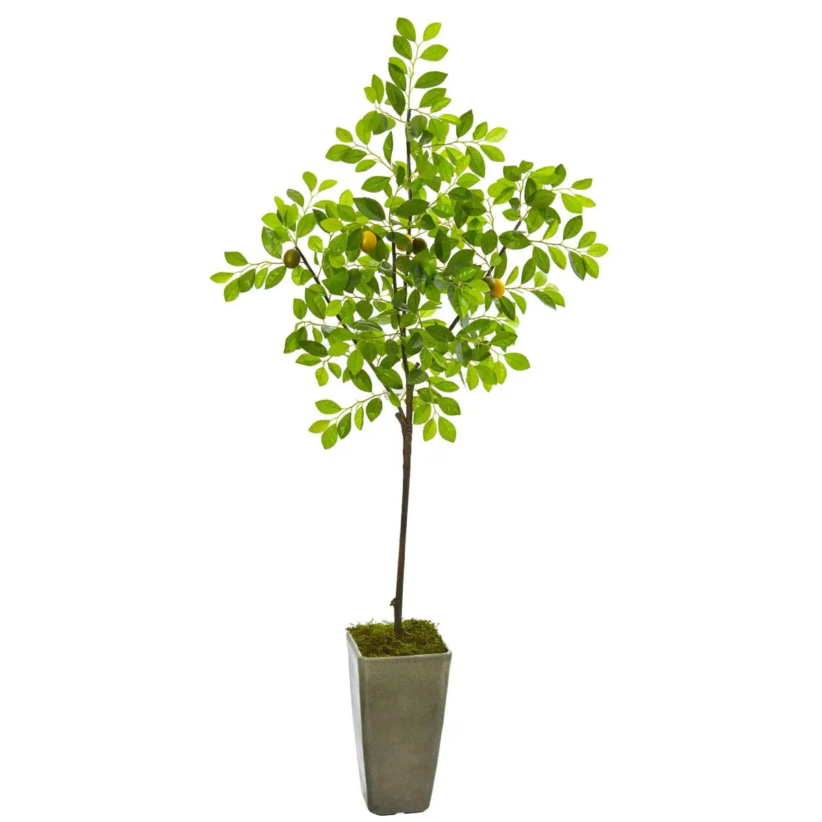 6’ Lemon Artificial Tree in Olive Green Planter - Nearly Natural