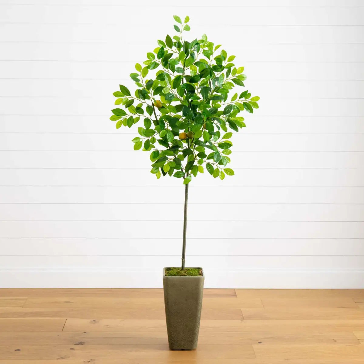 6’ Lemon Artificial Tree in Olive Green Planter - Nearly Natural