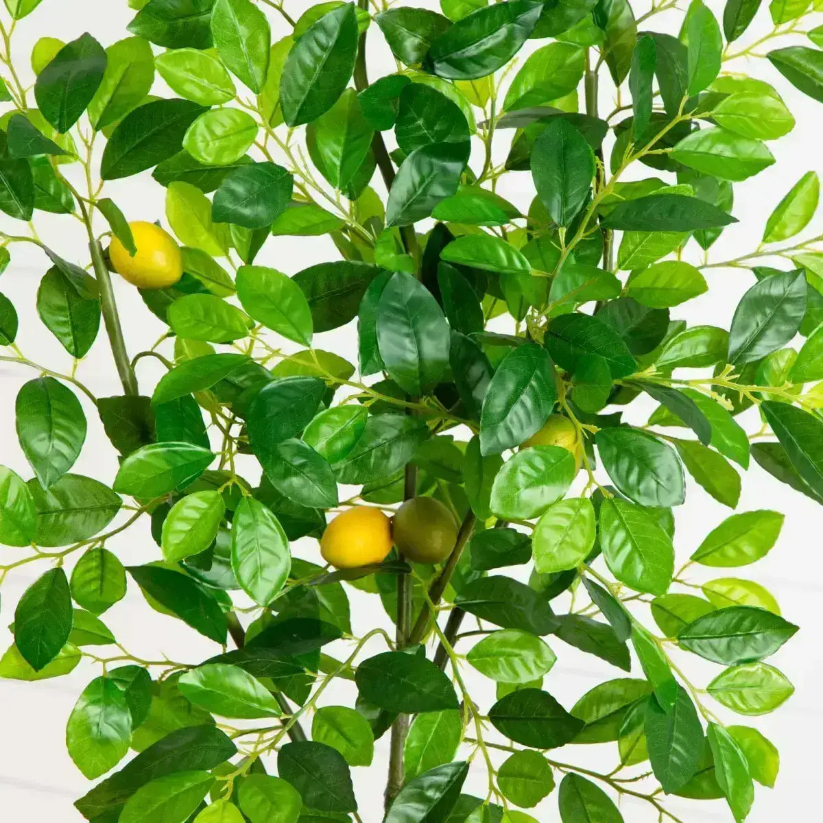 6’ Lemon Artificial Tree in Olive Green Planter - Nearly Natural
