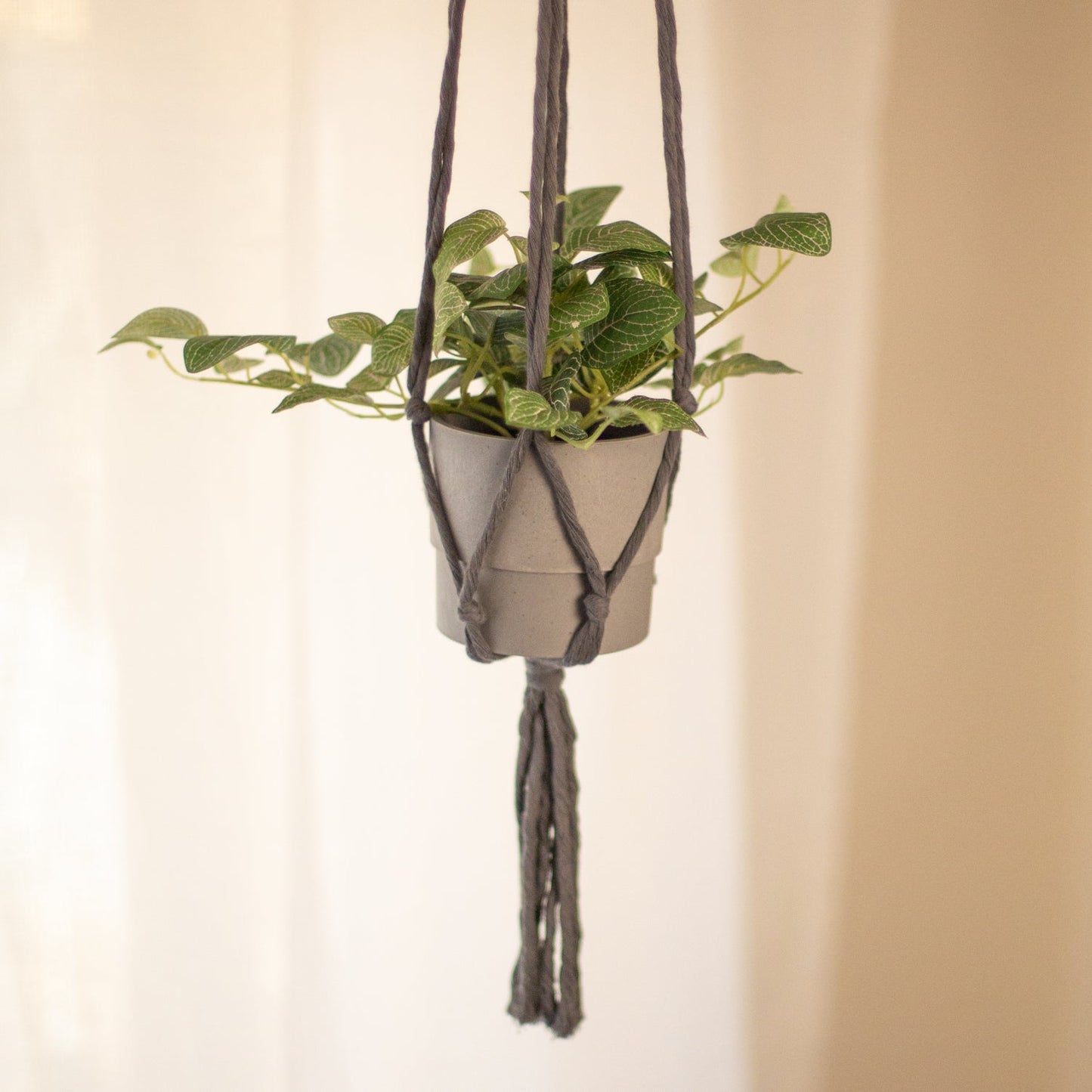 Flourish Plant Hanger Blue Grey