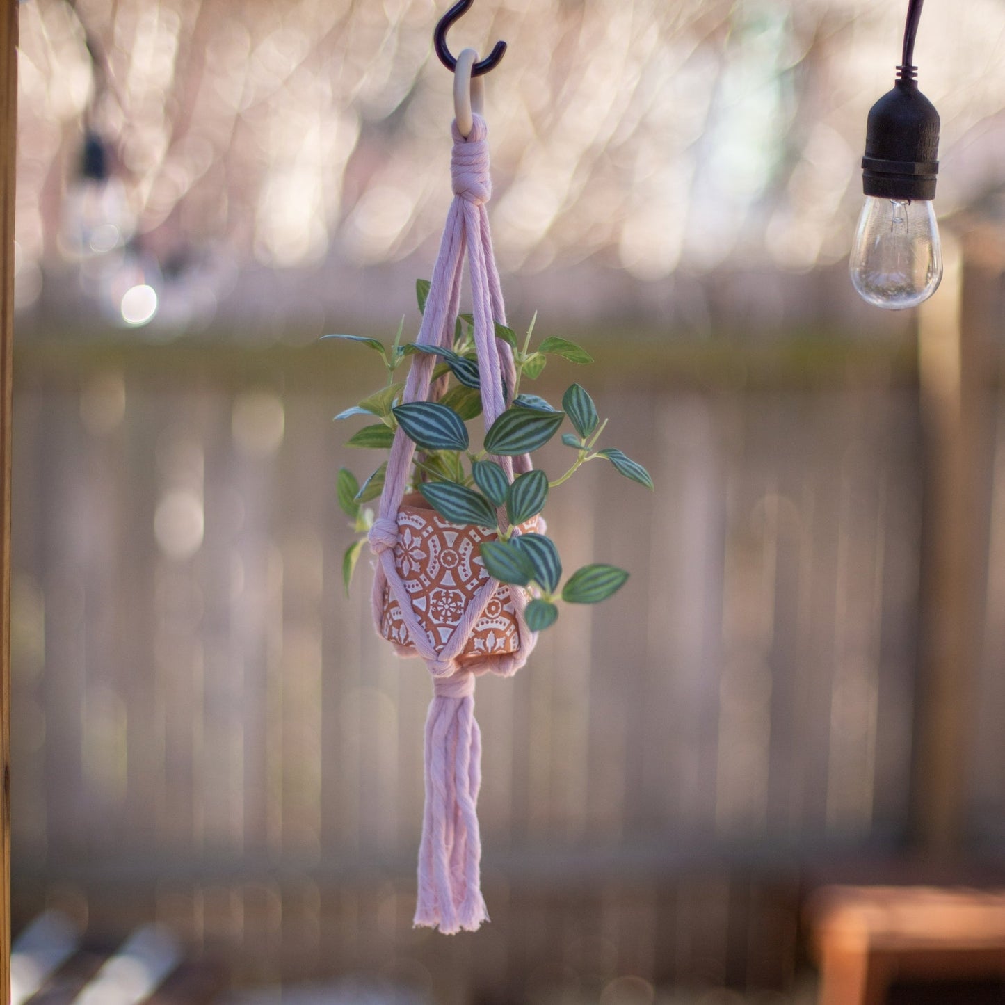 Mini Flourish Plant Hanger Lavender