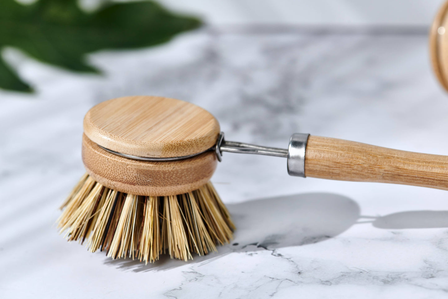 Bamboo Handle Dish Brush