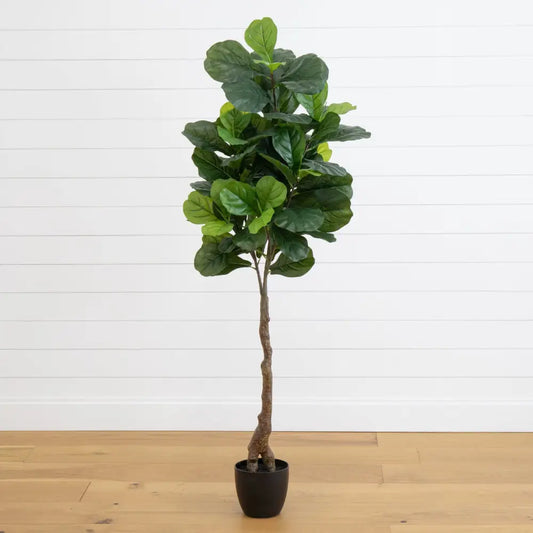 64” Fiddle Leaf Artificial Tree (Real Touch) - Nearly Natural