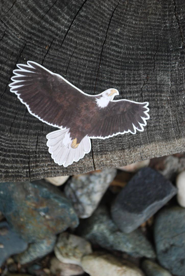 Pegatina de vinilo de águila calva