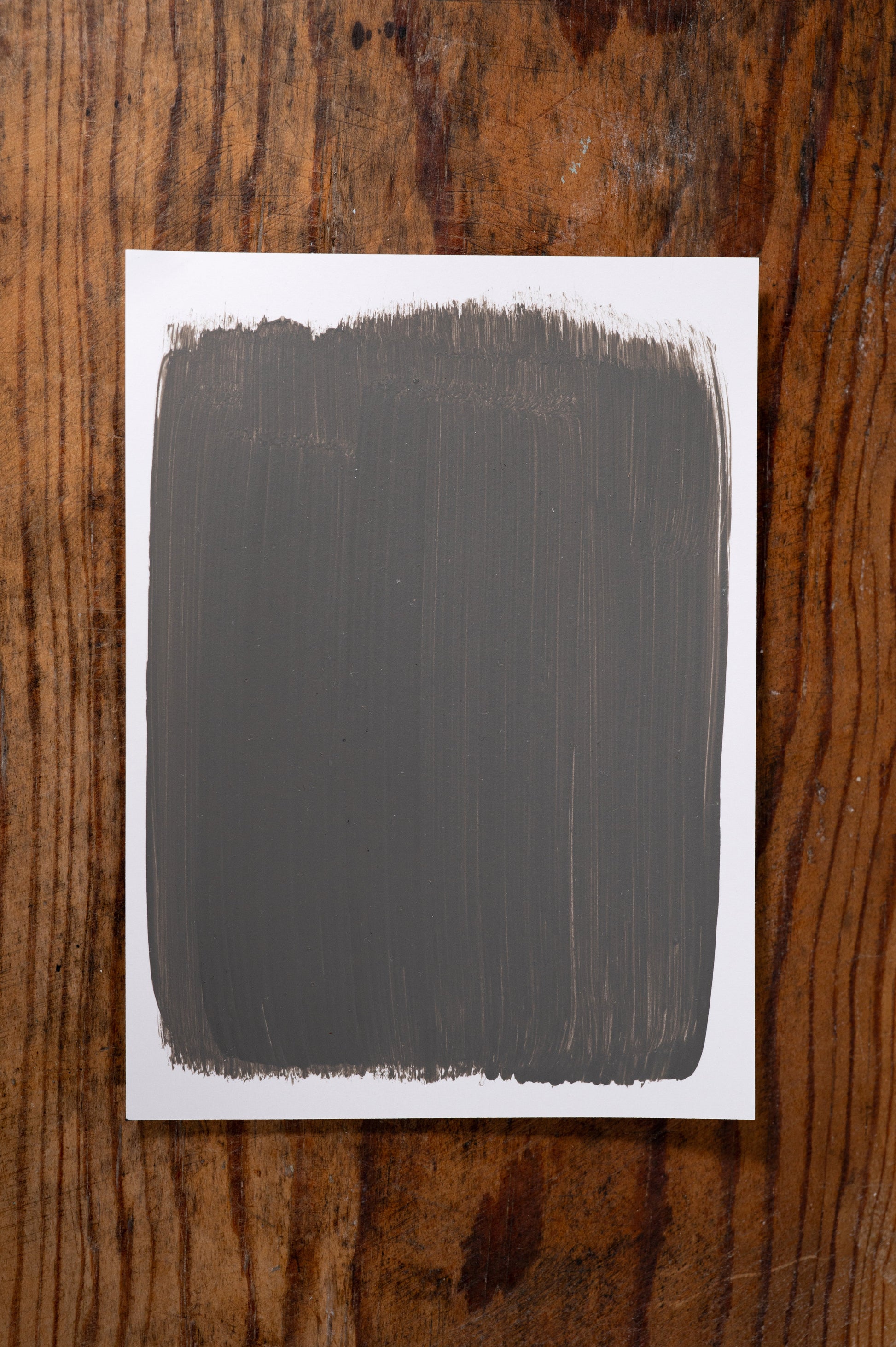 Iron Gate - Manor Borne Wall Paint - Amy Howard At Home