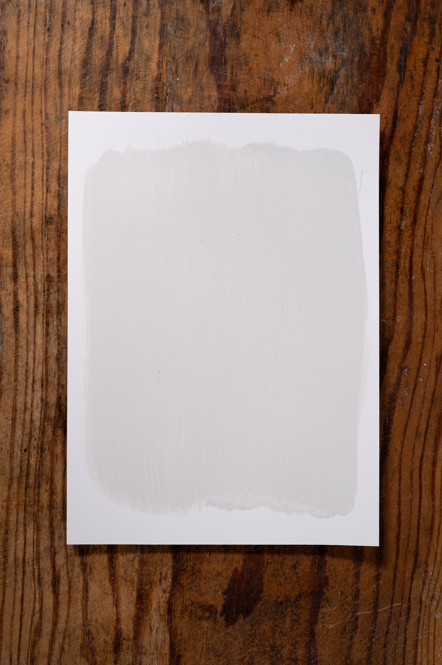 Summer Porch - Manor Borne Wall Paint - Amy Howard At Home