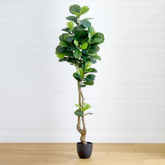 78” Fiddle Leaf Artificial Tree (Real Touch) - Nearly Natural