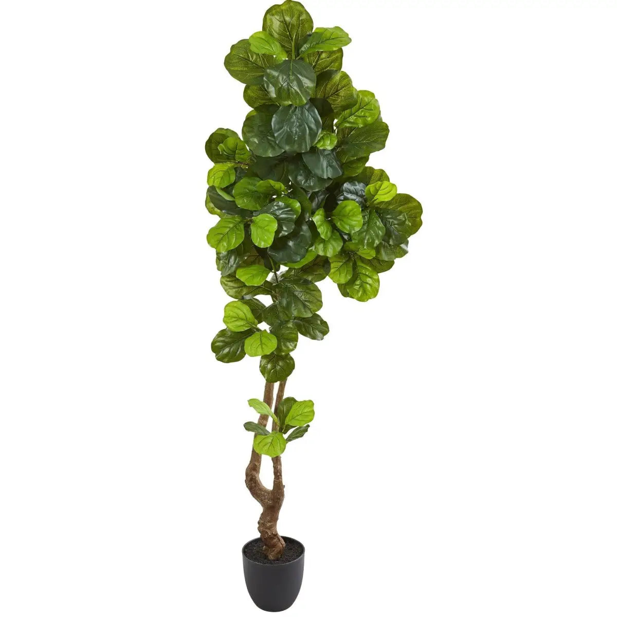 78” Fiddle Leaf Artificial Tree (Real Touch) - Nearly Natural