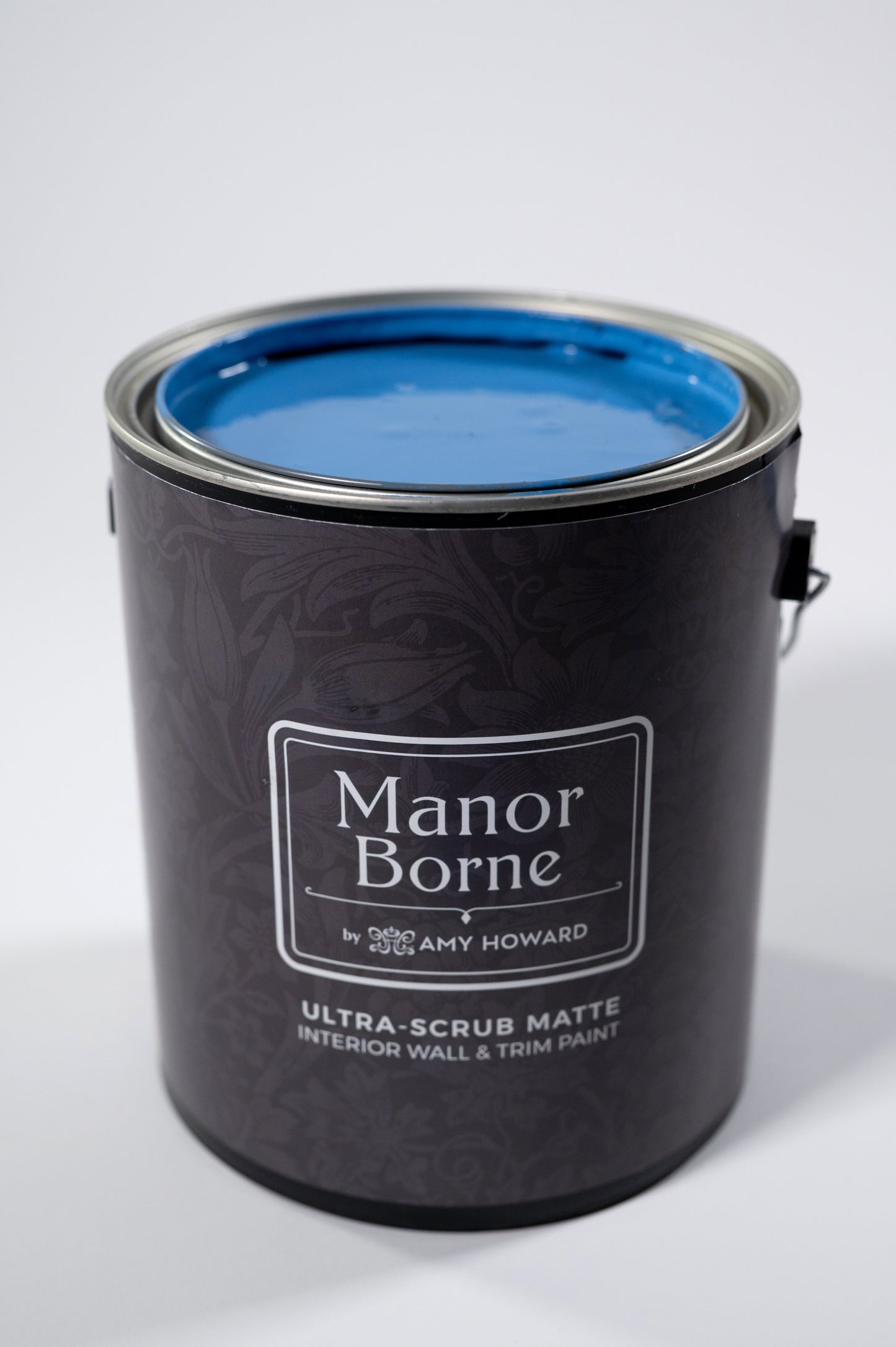 Rise and Shine - Manor Borne Wall Paint - Amy Howard At Home