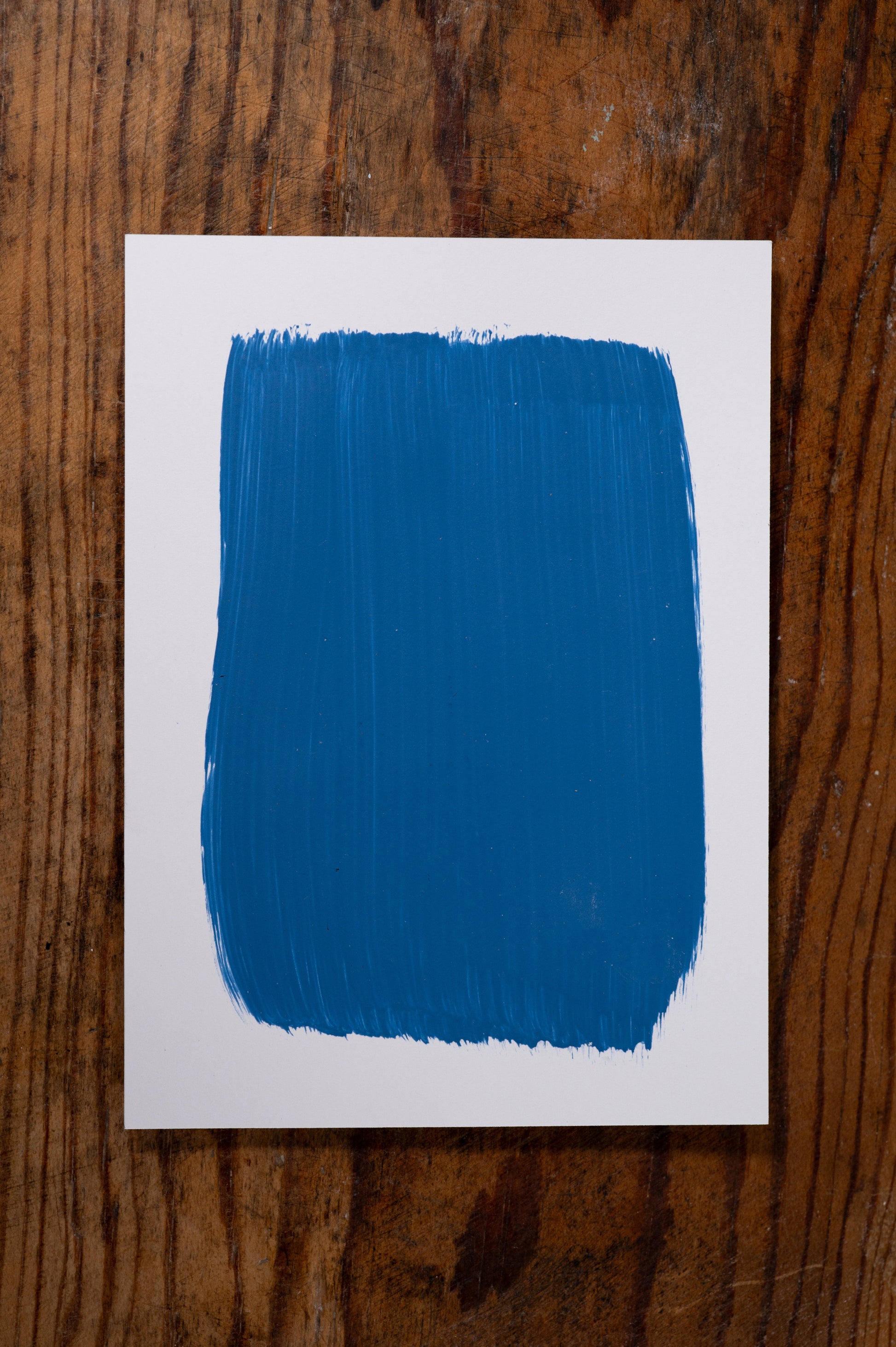 Rise and Shine - Manor Borne Wall Paint - Amy Howard At Home