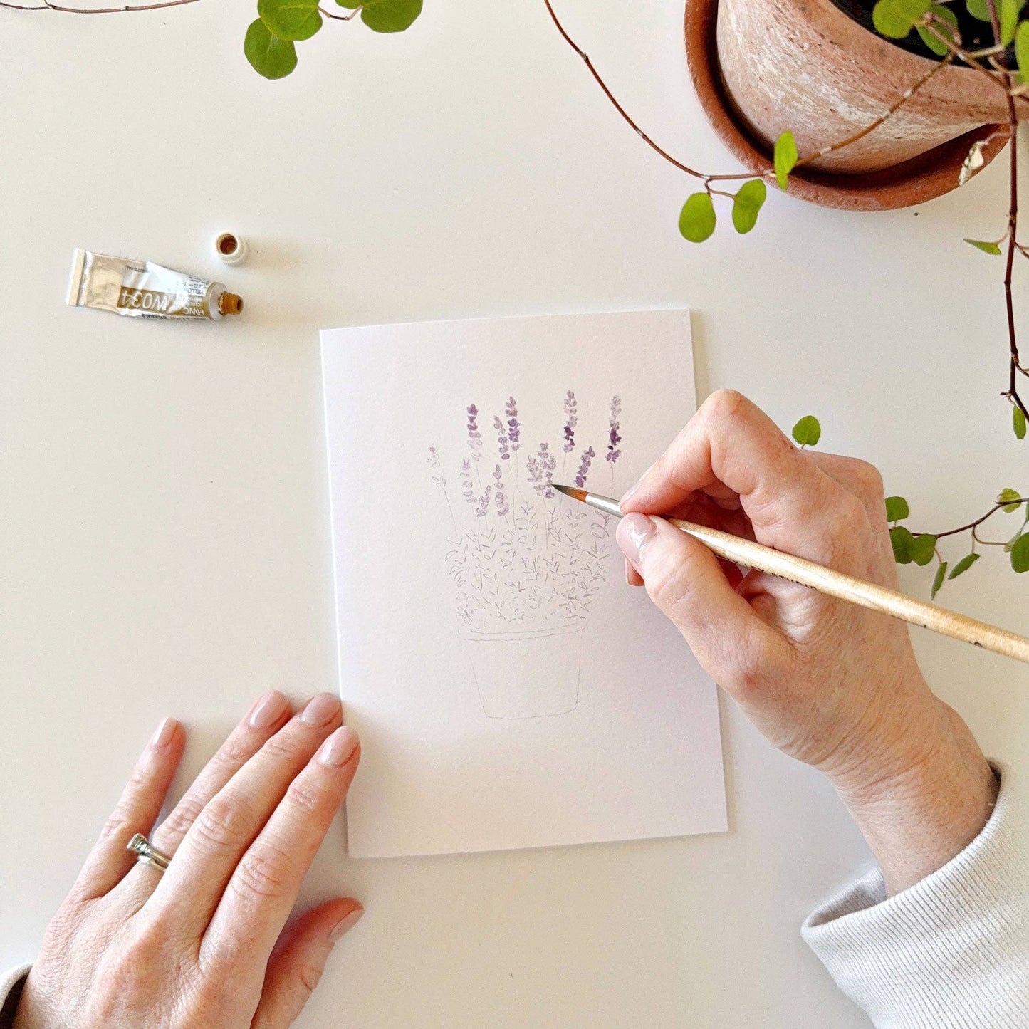 Potted Plants Paintable Notecards - emily lex studio