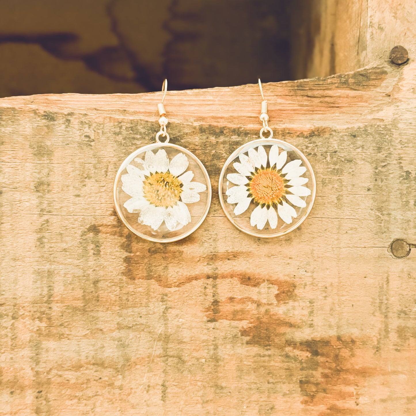 Hermosos aretes de margaritas doradas