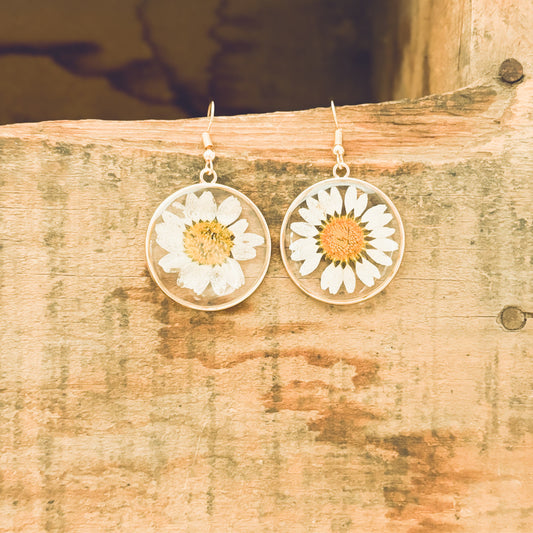 Belles boucles d'oreilles marguerite en or